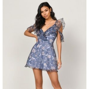 NWT Tobi Organza Ruffle Skater Dress